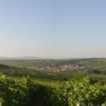 Groß-Winternheim Panorama